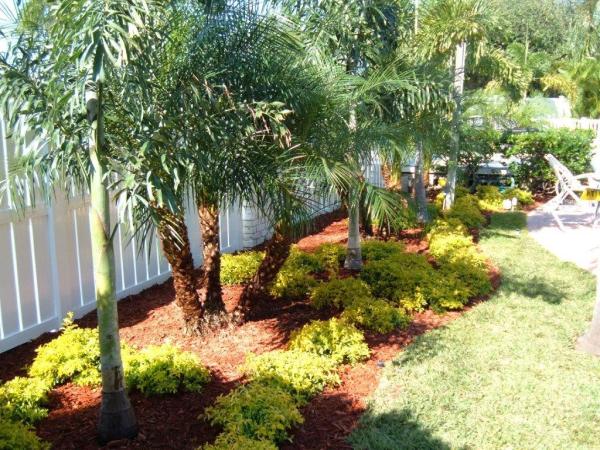 Ted Conner Landscaping