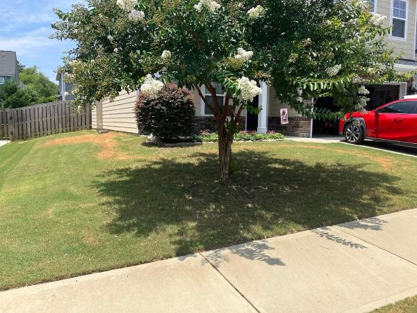 Fairway Lawns
