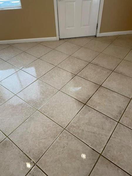 Advanced Carpet Care by Charles