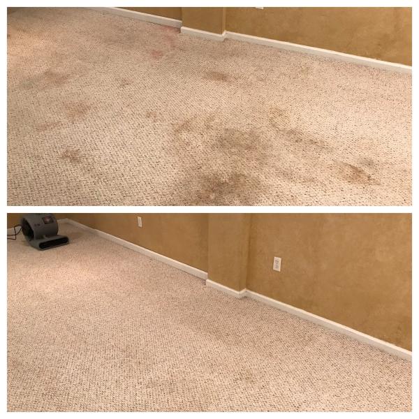 Veterans Carpet & Tile Cleaning