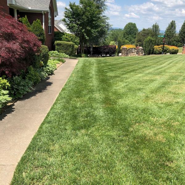 Mountain Oaks Lawn Care