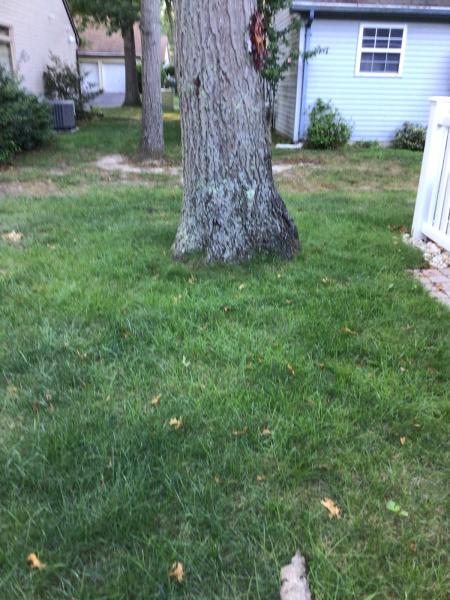 Live Oak Landscape Contractors Inc