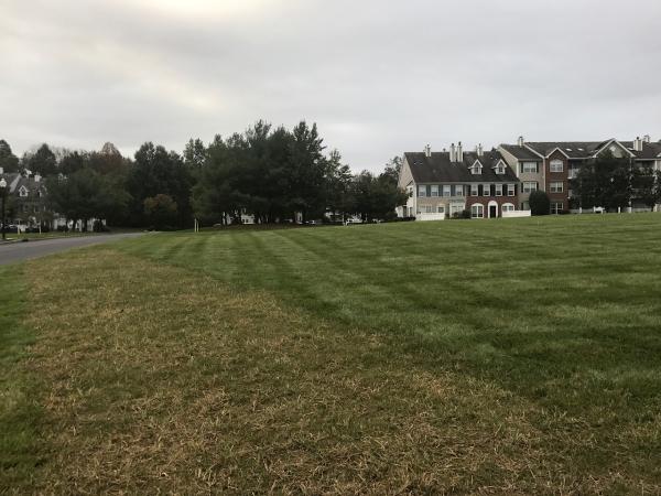 Live Oak Landscape Contractors Inc