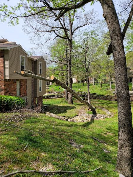 Arborjacks Tree Service