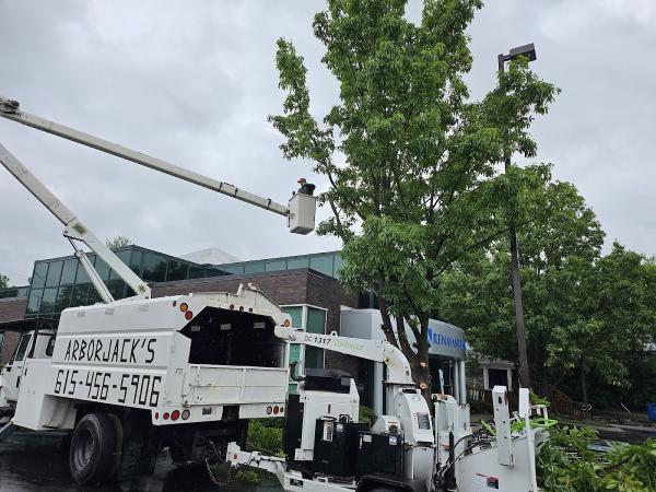 Arborjacks Tree Service