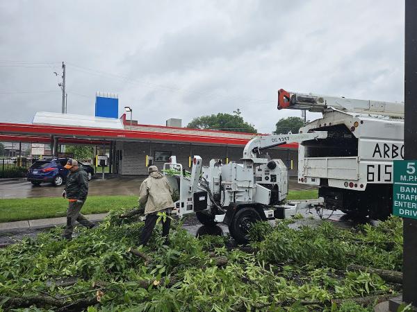 Arborjacks Tree Service