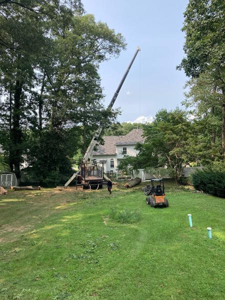 Garrison's Tree Service