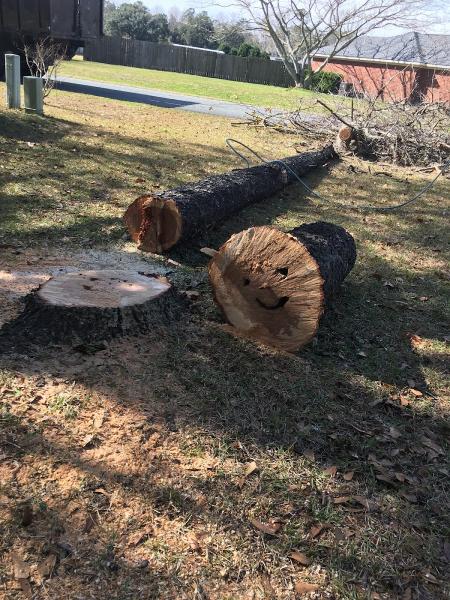 WM Tree Service