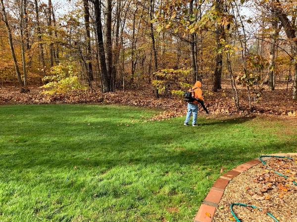 Yard Solutions