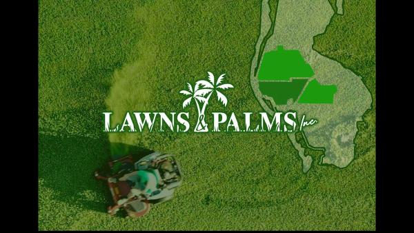 Lawns and Palms