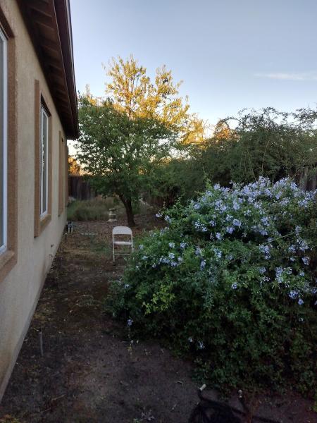 Manteca Property Services