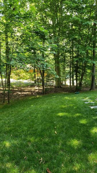 American Green Lawn Service
