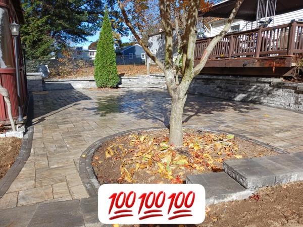 Environmental Design and Landscaping