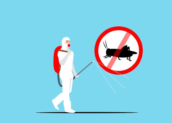 Extreme Pest Solutions
