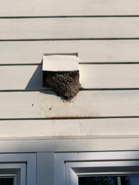 Bob and Duff's Pest Control