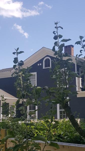American Eagle Contracting