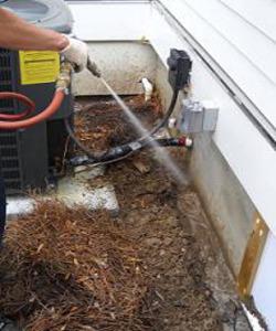 Brunswick Pest Control