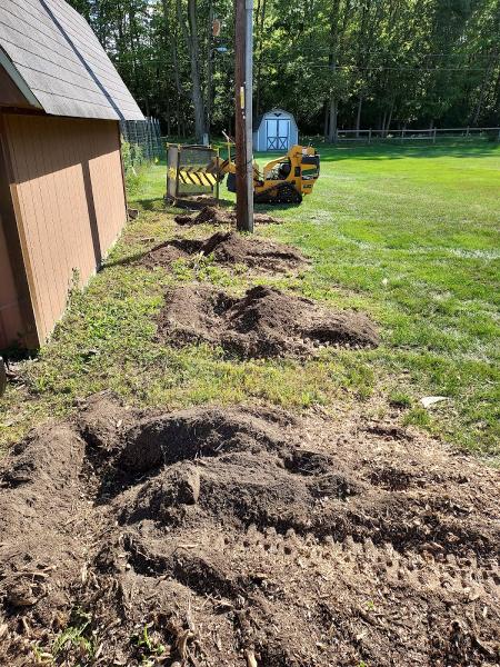 Indiana Stump Grinding