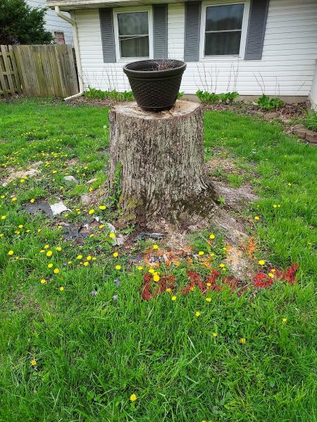 Indiana Stump Grinding