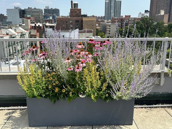 Metropolitan Garden Design