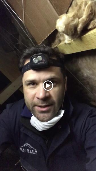 Rainier Pest Control