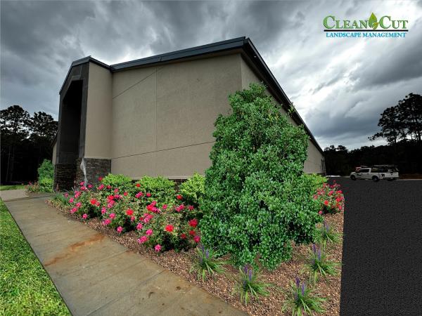 Clean Cut Landscape Management