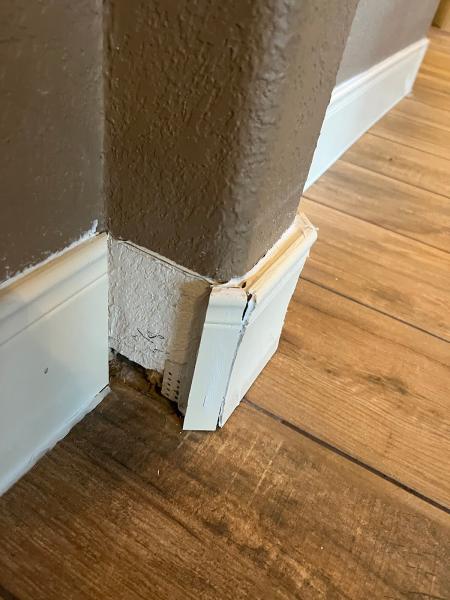 Floor Busters All Floor Removal