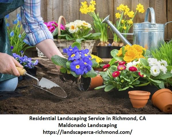Maldonado Landscaping