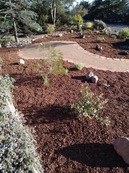 Maldonado Landscaping