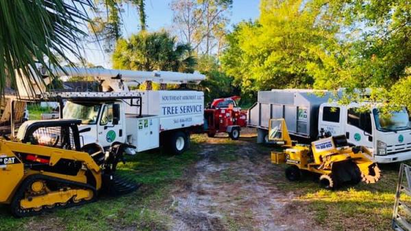 Southeast Arborist
