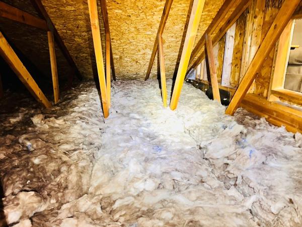 Attic Crawl