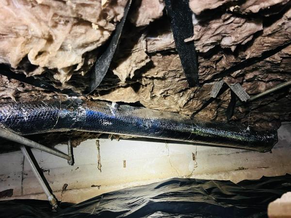 Attic Crawl