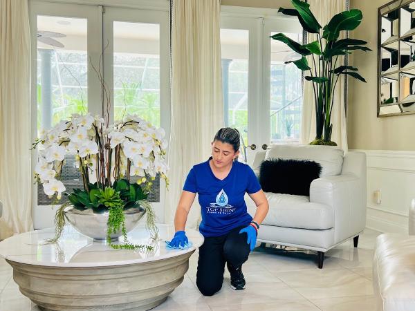 Top Shine Cleaning Services