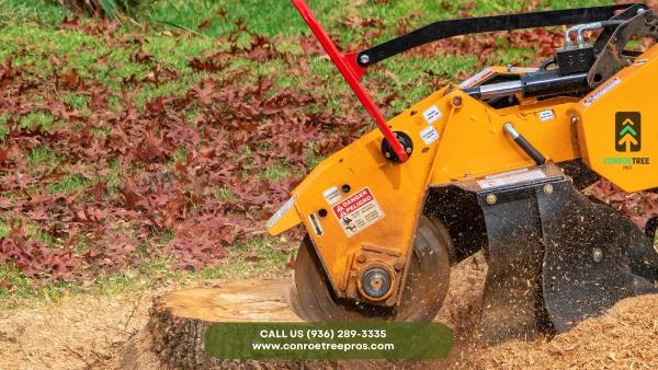 Conroe Tree Pros