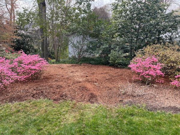 Grinder Stump Removal