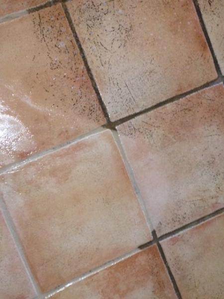 McLaughlin's Carpet Care