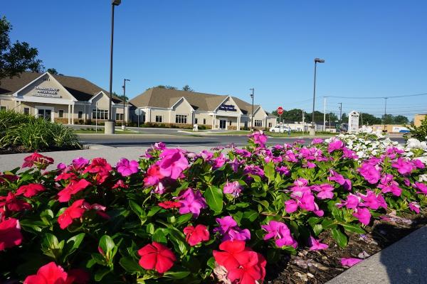 Creation Landscaping & Lawn Care LLC