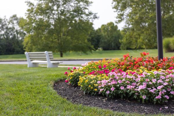 Creation Landscaping & Lawn Care LLC