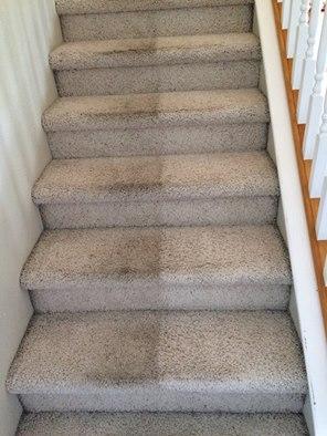Alert Carpet Cleaning and Services LLC