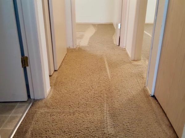L & W Carpet & Upholstery Cleaning