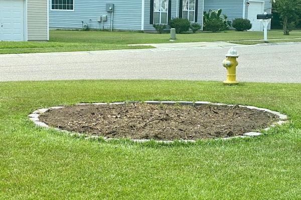 Coastal Stump Grinding LLC