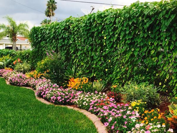 Integrity Pest Control Services
