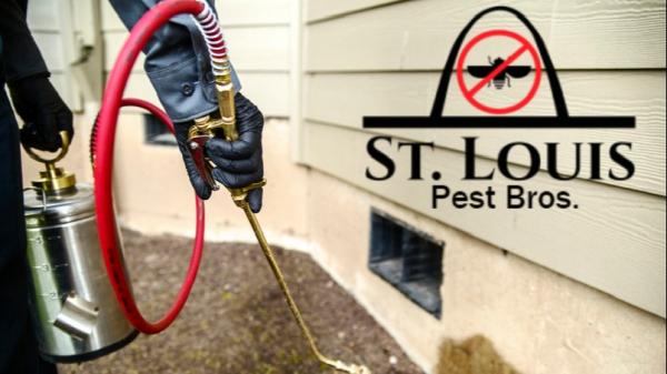 Saint Louis Pest Brothers