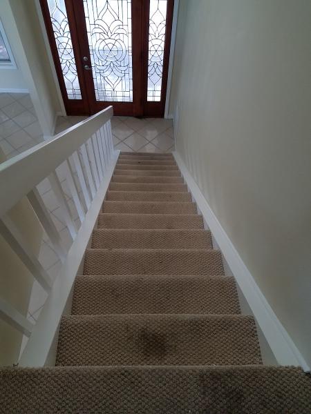 Dry Carpet Care