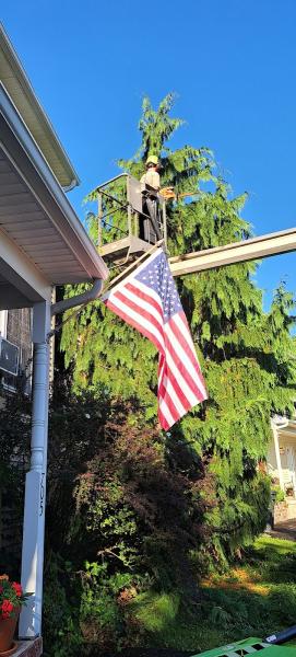 Sam the Tree Guy LLC