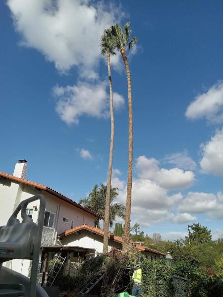 Cortez Tree Care Inc