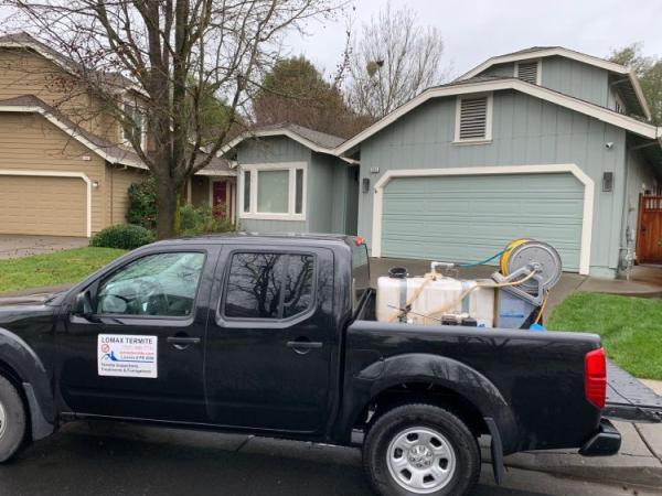 Lomax Termite Control