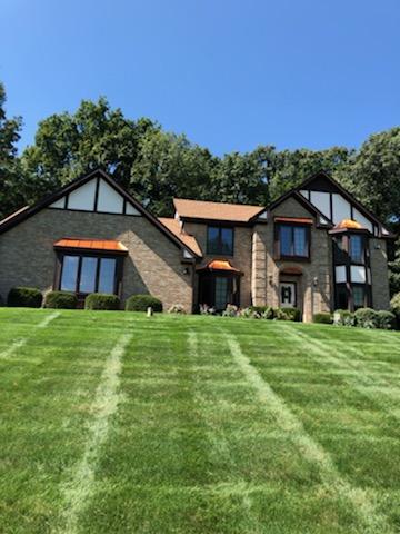 Reliable Window Washing