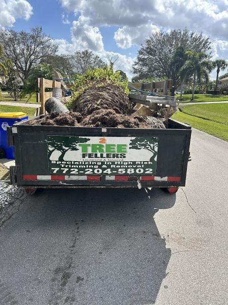 2 Tree Fellers