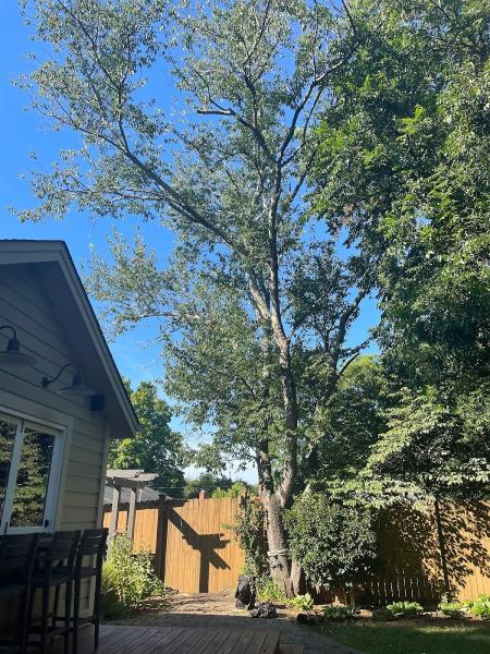 Devore's Arbor Care